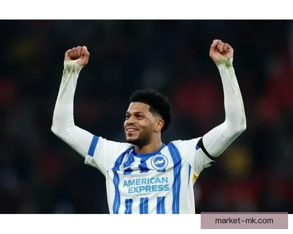 布莱顿以创纪录转会费签下鲁特尔 强化球队进攻阵容